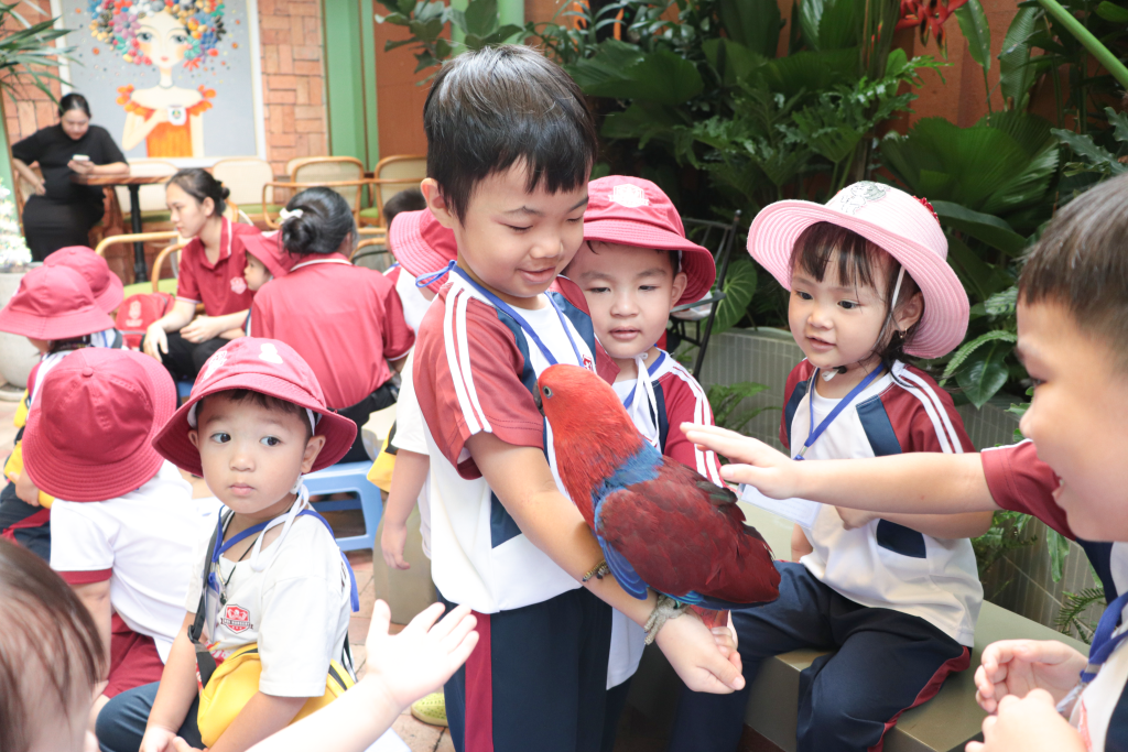 Buổi Dã Ngoại Pet Me: Kết Nối Thiên Nhiên và Động Vật Đáng Yêu Cùng Trẻ Thơ Tại Mầm Non Koi Nursery